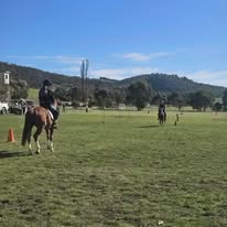 502974435 1211520377429244 2337749793343074132 n